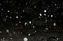 Pierwszy snieg 012